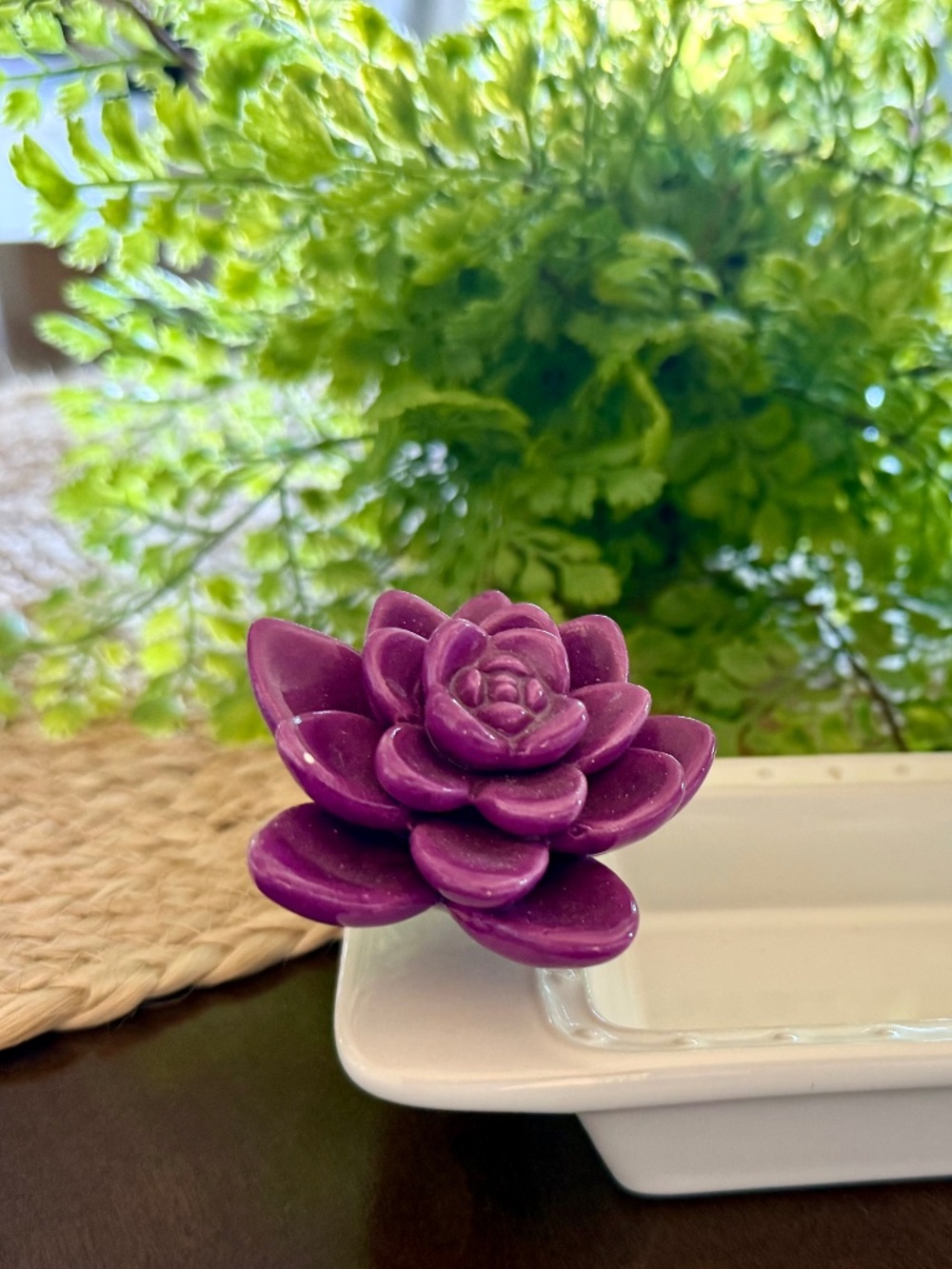 Nora Fleming Get Growing Succulent